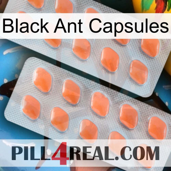 Black Ant Capsules 27.jpg